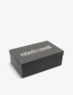 Roberto Cavalli Ballerina Graphic-print Leather Slingback Pumps -Manolo Blahnik Store R04179659 MULTICOLOUR ALT04